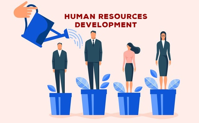 Plan to training and developing human resources in Quang Ngai province in 2021