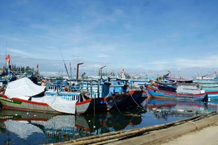 Nâng cấp, mở rộng khu neo đậu tránh trú bão kết hợp cảng cá Tịnh Hòa