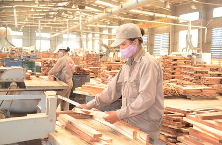 Đầu tư Nhà máy sản xuất, chế biến gỗ tại huyện Trà Bồng