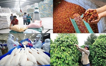 Thúc đẩy sản xuất, lưu thông, tiêu thụ và xuất khẩu nông sản trong bối cảnh phòng, chống dịch bệnh COVID-19