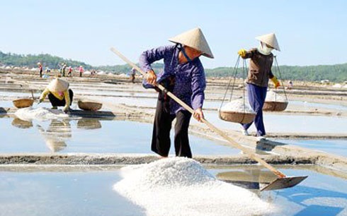 Kế hoạch phát triển sản xuất, chế biến và tiêu thụ muối trên địa bàn tỉnh Quảng Ngãi, giai đoạn 2021 - 2030