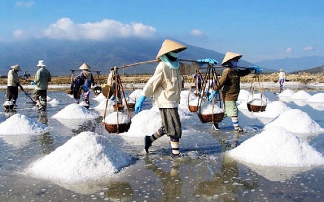 The implement plan to develop production, processing and consumption of salt