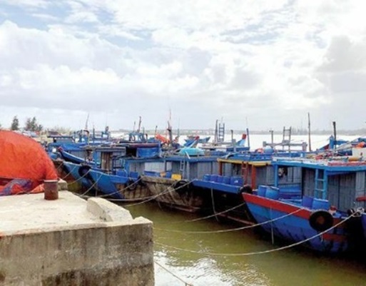 Điều chuyển Cầu cảng cá sông Trà Bồng sang Sở Nông nghiệp và PTNT quản lý, khai thác