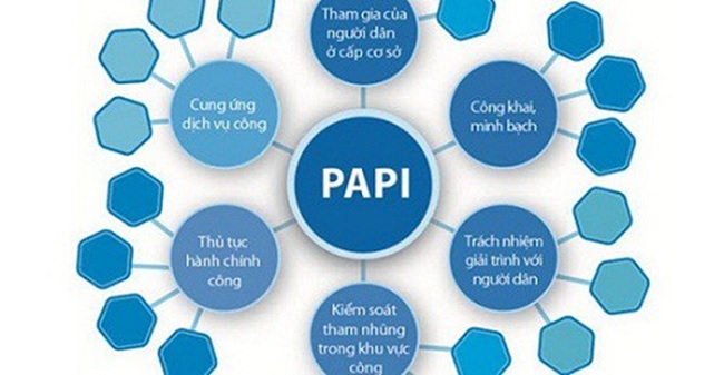 Quang Ngai's PAPI index in 2021 increased by 19 places