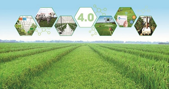 Kế hoạch thực hiện Chiến lược phát triển nông nghiệp và nông thôn bền vững