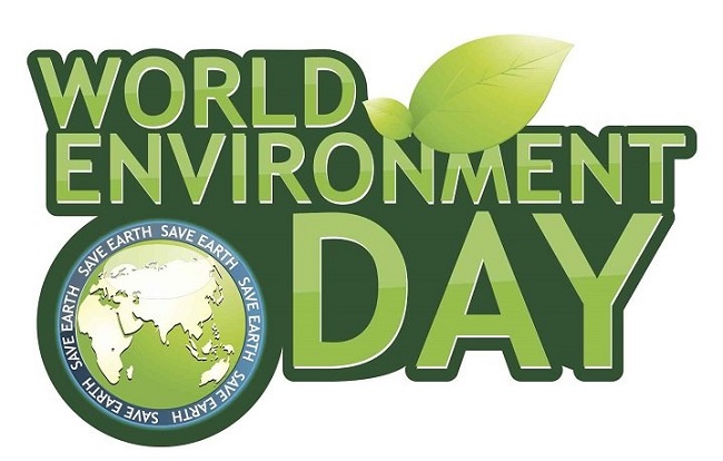 Organize activities in response to World Environment Day