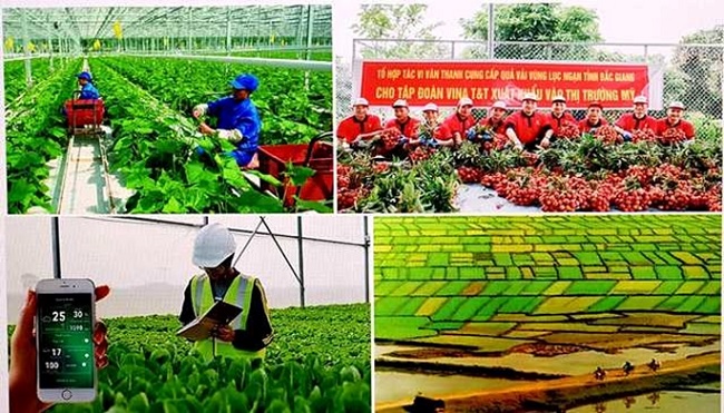 Sustainable agricultural development