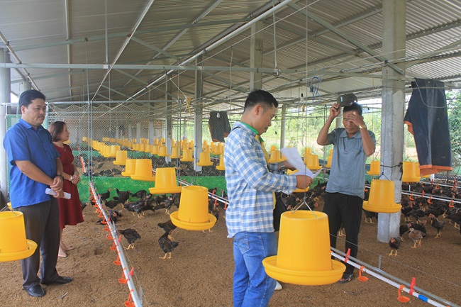 Những bông hoa đẹp trong Phong trào nông dân thi đua sản xuất kinh doanh giỏi tỉnh Quảng Ngãi, giai đoạn 2017 -2022