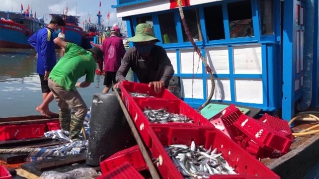Trên 200 tỷ đồng thực hiện chính sách khuyến khích khai thác hải sản
