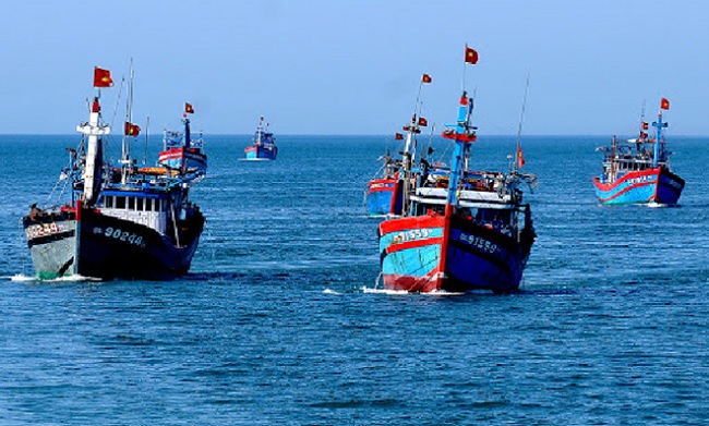 More than 79 billion VND to implement policies to encourage seafood exploitation in remote seas