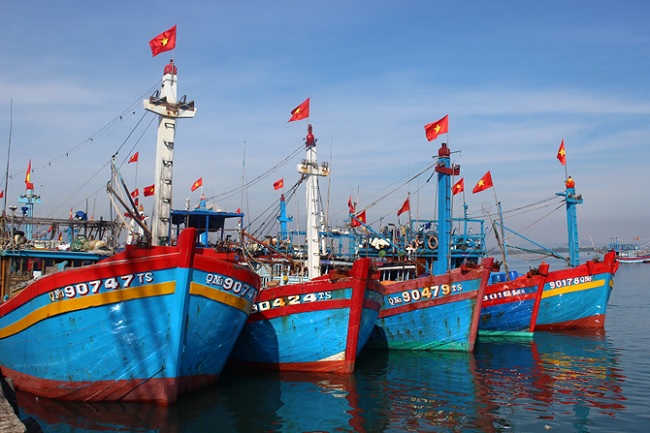 Over 200 billion VND implementing policies to encourage seafood exploitation