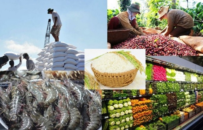 Plan to ensure food safety and improve the quality of agriculture, forestry and fishery