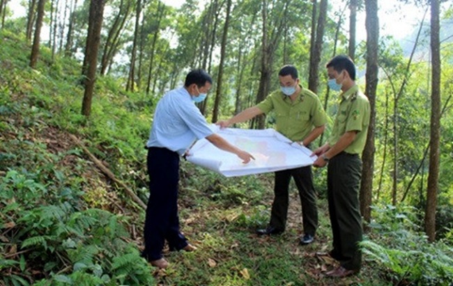 Strengthening measures to prevent and fight forest fires