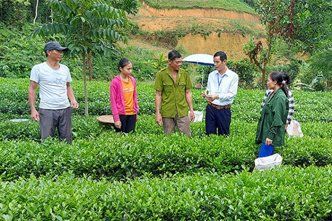Quang Ngai strives to complete the production development support projects by 2025