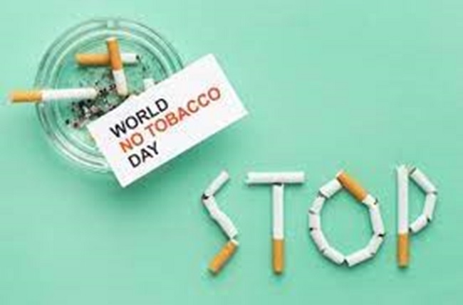 Organize activities to respond to the World No Tobacco Day - 31 May