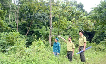 Tổ chức FFI tài trợ 2,4 tỷ đồng bảo tồn đa dạng sinh học tại Quảng Ngãi