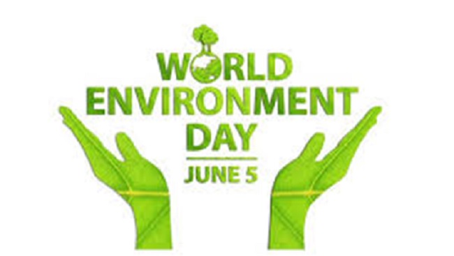 Activities responding to World Environment Day