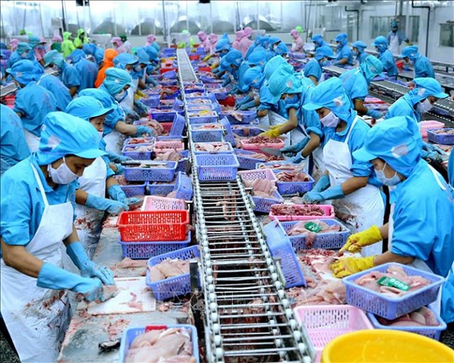 Ensure food safety in seafood production and trading