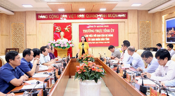Thường trực Tỉnh ủy cho ý kiến công tác chuẩn bị Lễ động thổ Dự án Khu công nghiệp VSIP II Quảng Ngãi