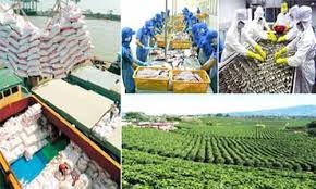 Quang Ngai ranked in good group on food safety management of agro-forestry-fishery products in 2019