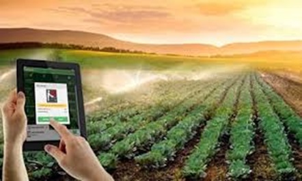 Trên 78 tỷ đồng đầu tư Khu sản xuất, chế biến nông nghiệp tập trung, ứng dụng công nghệ cao