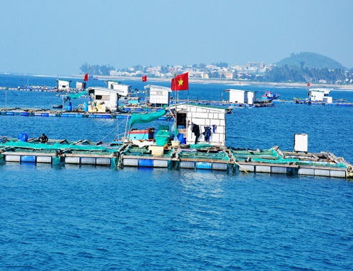 Fishery production in the quarter was estimated at 65,608.9 tons, up 6.3%