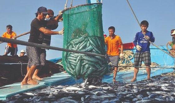 Trên 02 tỷ đồng chi trả phí bảo hiểm khai thác hải sản