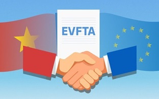 Phê duyệt Kế hoạch thực hiện Hiệp định EVFTA